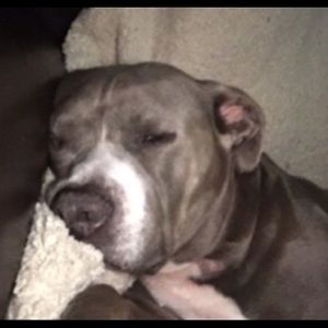 Meet your Posher, Rachelle